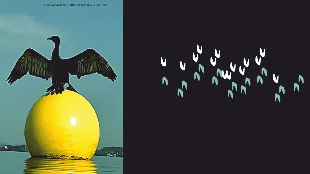 The_Cormorants_Shadow_still_4