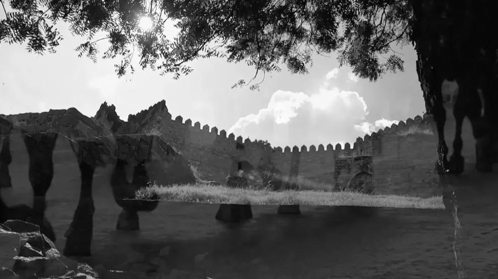 Fort_and_hooves_-_bw_copy